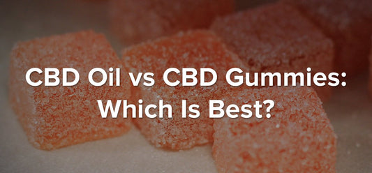 CBD Oil vs CBD Gummies: Which Is Best?