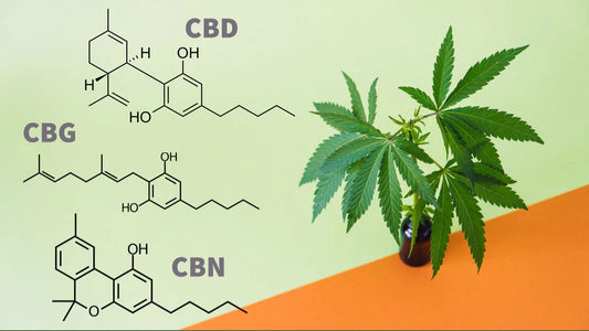 CBD, CBG & CBN Molecules